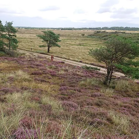 4 Person In Strand-by Traum Vejers Strand